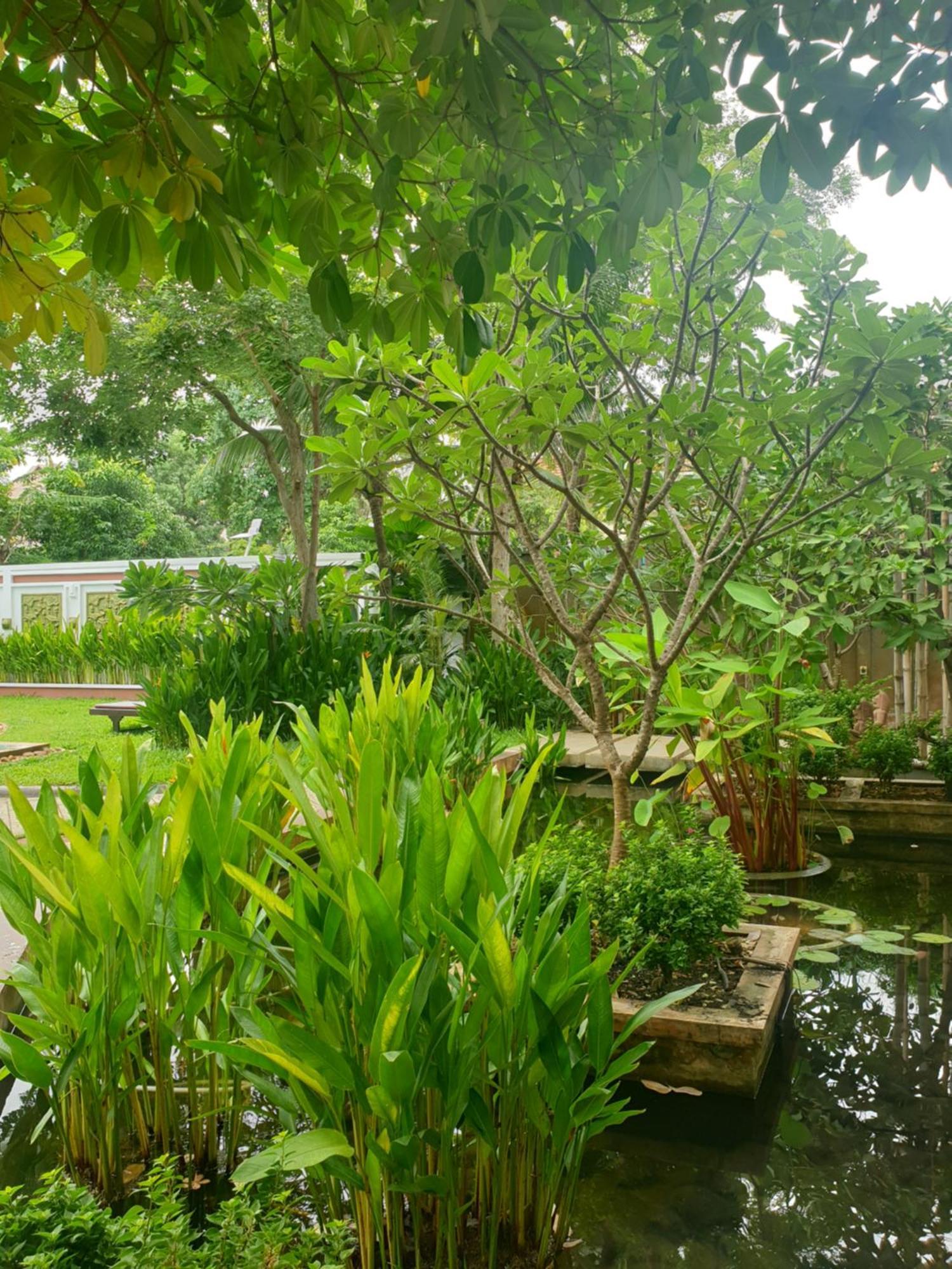 Bamboo Retreat Villa Siem Reap Luaran gambar
